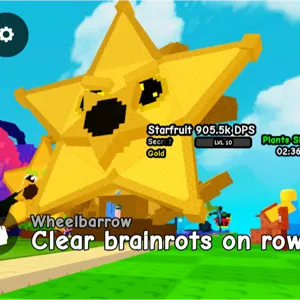 8.9KG GOLD STAR FRUIT