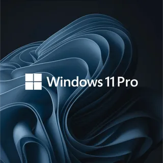 Windows 11 Professional - OEM License 