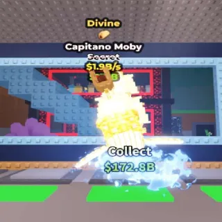 CAPITANO MOBY DIVINE