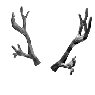 Silverthorn Antlers
