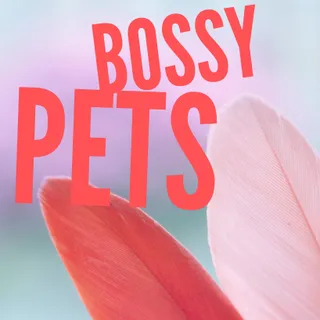 BossyPets