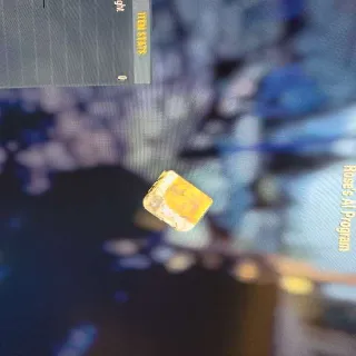 Roses Ai Program (Dirty)