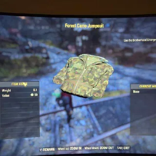 Forest Camo Jumpsuit