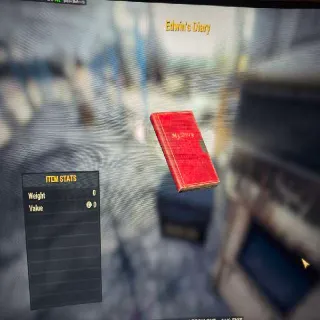 Edwin Diary