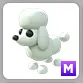 Pet | 1x MEGA POODLE ADOPTME