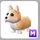 Pet | 1x MEGA CORGI ADOPTME