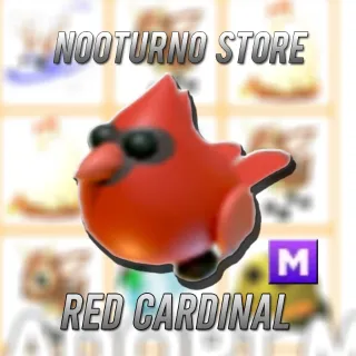 Pet | RED CARDINAL MEGA 