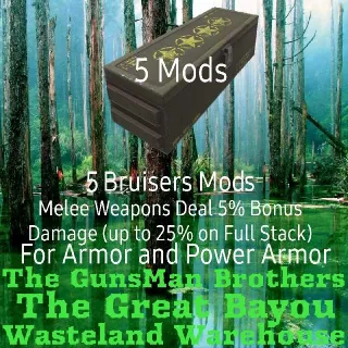 Bruisers Mods