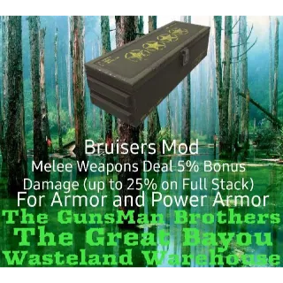 Bruisers Mod