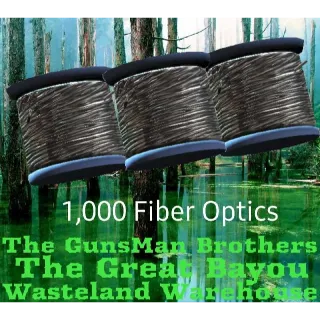 Fiber Optics