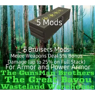 Bruisers Mods