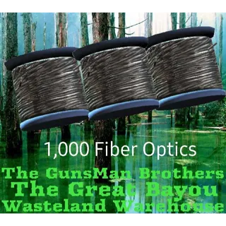 Fiber Optics