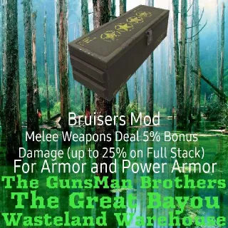 Bruisers Mod