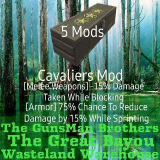 Cavalier Mods