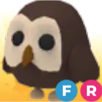 FR Owl