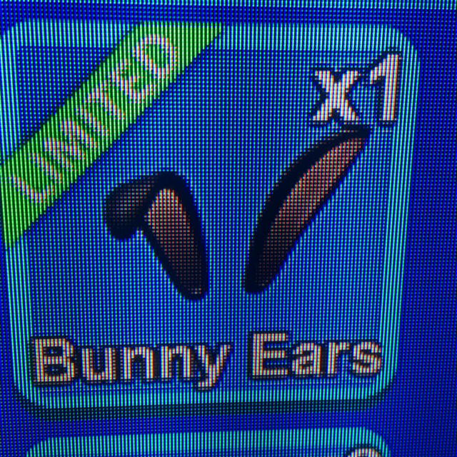 Collectibles Bunny Ears In Game Items Gameflip - rabbit ears roblox