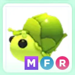 MFR Sprout Snail