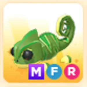 Pet | MFR Chameleon
