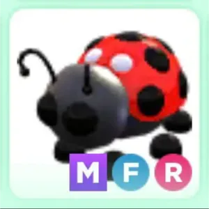 MFR Ladybug