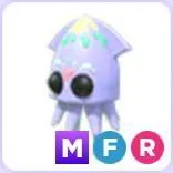 Pet | MFR Squid