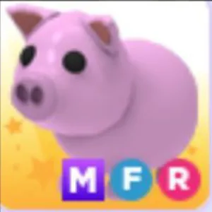 Pet | MFR Pig