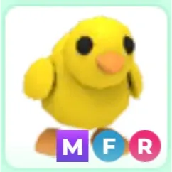 MFR Chick