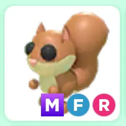 MFR Red Squirrel