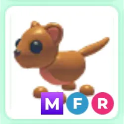 MFR Fossa