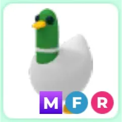 MFR Silly Duck