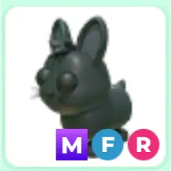 MFR Amami Rabbit