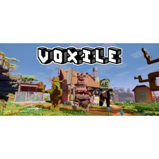 VOXILE 🔥 AUTO DELIVERY 🔥 PC STEAM 🔥 GLOBAL CODE 🔥 CHECK OUR HUNDREDS OF LISTINGS