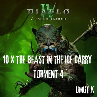 10 X The Beast Carry Torment 4