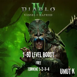 1-60 level boost Includes Torment 1-2-3-4