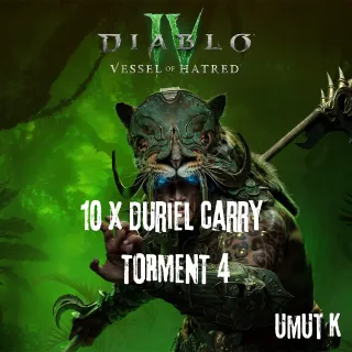 10 x Duriel Carry Torment 4