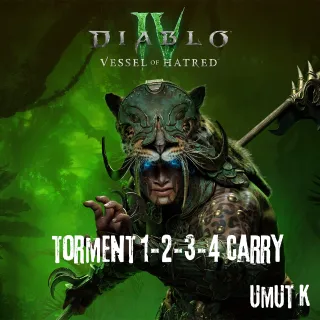 Torment 1-2-3-4 Carry