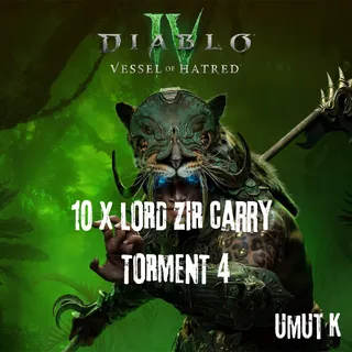 10 x Lord Zir Carry Torment 4