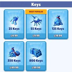 110keys