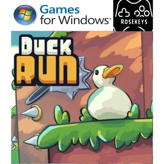 Duck Run (pc)