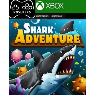Shark Adventure