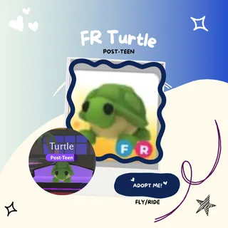 FR Turtle | Post Teen