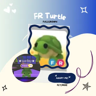 FR Turtle |Fullgrown
