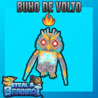 BUHO DE VOLTO | COLLECTORS ITEM | 16.5M