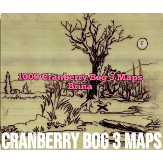 Cranberry Bog 3