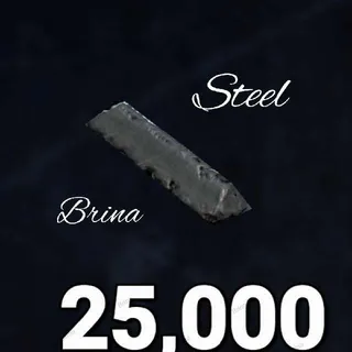 25000 Steel