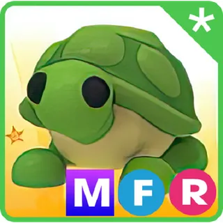 MEGA FLY RIDE TURTLE