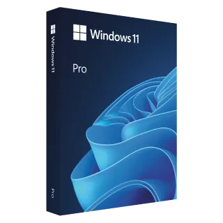 Windows 11 pro