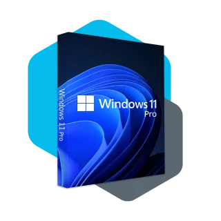 WINDOWS 11 PRO ONLINE