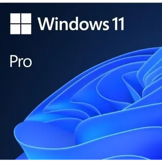 Windows 11 pro