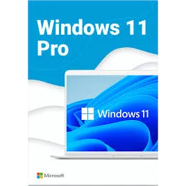 1 windows 11 pro online