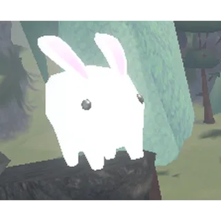 33k Rap bladeball inventory